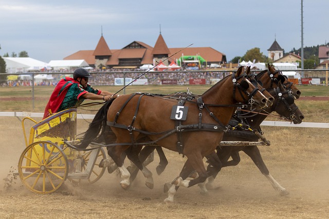 记录支出 记录支出